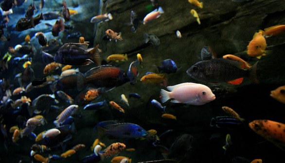 People Visit The Georgia Aquarium