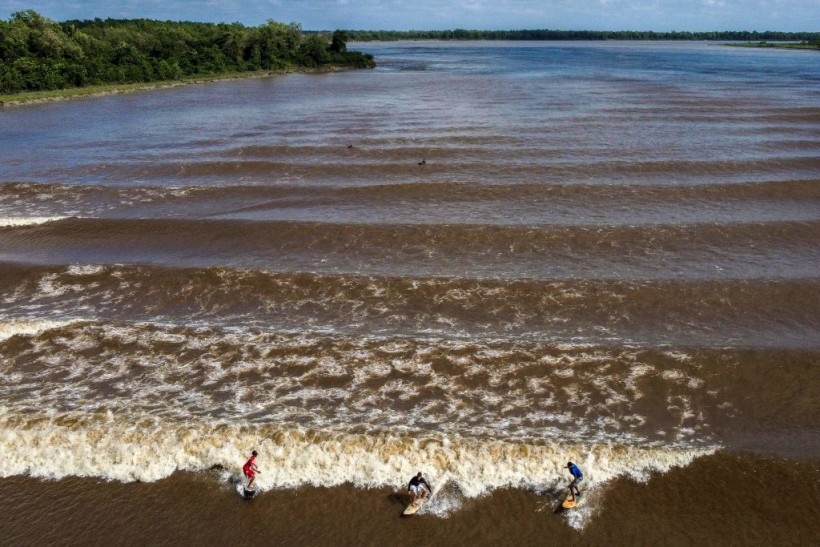 SURFING-BRAZIL-AMAZON-RIVER-WAVE-POROROCA