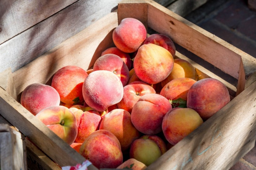 90% Peach Crops Destroyed by 3 Months of Warming Climate in Georgia