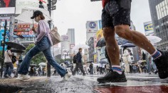 Shibuya district in Tokyo on June 2, 2023