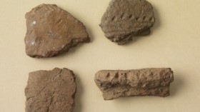 Corded Ware sherds