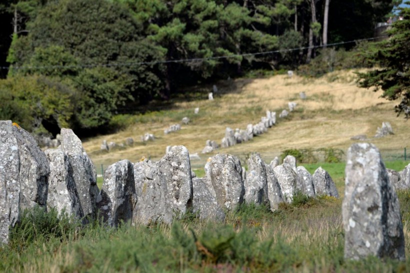 Ancient Stones Menhirs From 7000 Years Ago Bulldozed in France for DIY Store, Locals Cry Foul