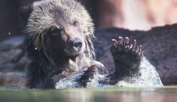 Palm Beach Zoo, Florida