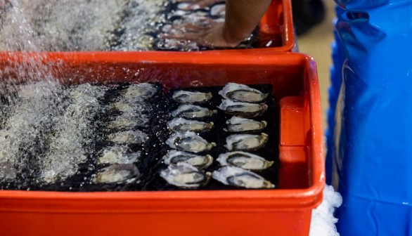 Raw Oysters From Food Cart Kills Man With Flesh-Eating Bacteria Vibrio Vulnificus, Officials In Search of Supplier — Missouri