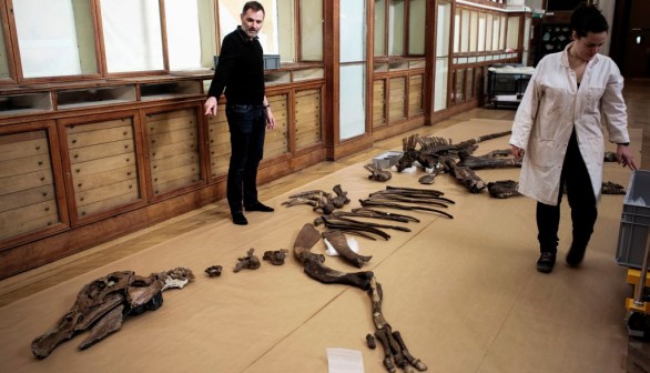 FRANCE-MUSEUM-PALAEONTOLOGY