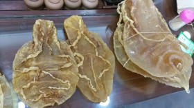 Endangered Totoaba Fish Swim Bladders Worth $2.7 Million Confiscated in Largest Seizure Reported - Arizona