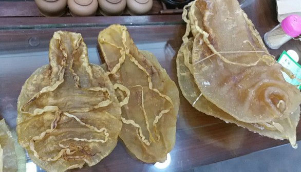 Endangered Totoaba Fish Swim Bladders Worth $2.7 Million Confiscated in Largest Seizure Reported - Arizona