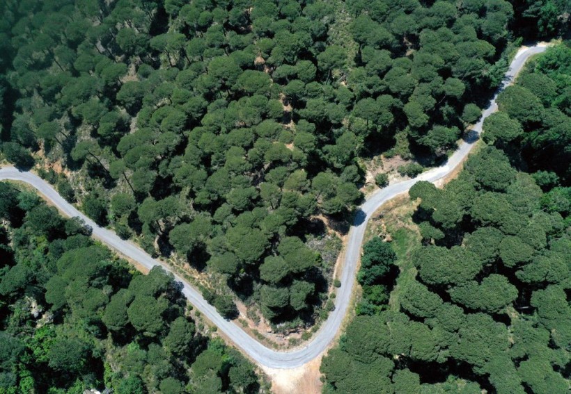 LEBANON-FOREST-CLIMATE-ENVIRONMENT