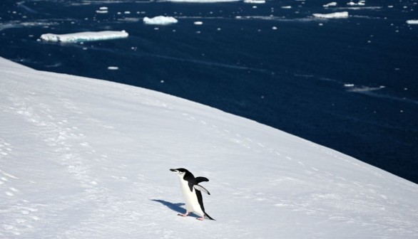 UN-CLIMATE-TOURISM-TRANSPORT-SEA-ANTARCTICA