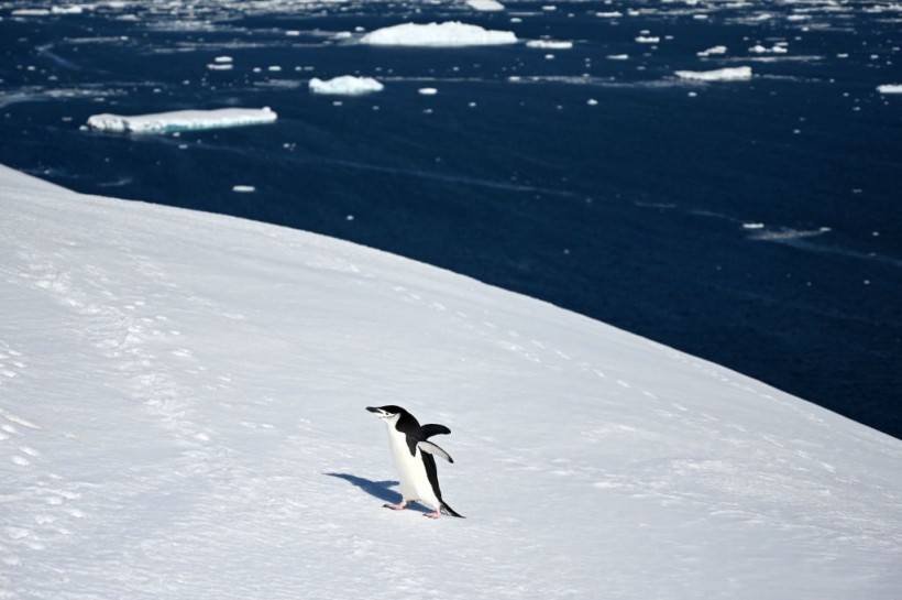 UN-CLIMATE-TOURISM-TRANSPORT-SEA-ANTARCTICA