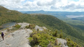 Maine Mountains Spanning 15,000 Acres Eyed as Potential Wildlife Refuge with Ecological Value, Diverse Biogeography