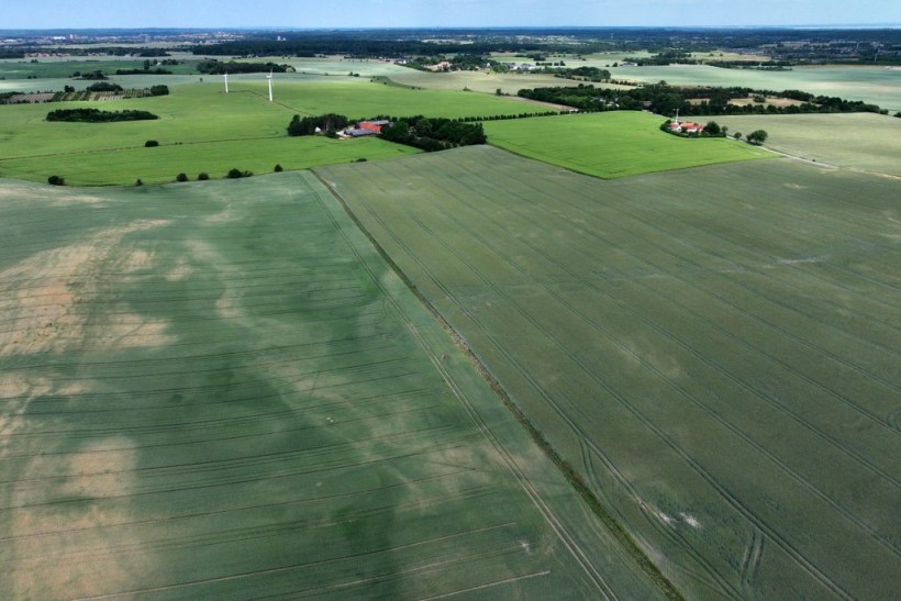 DENMARK-WEATHER-CLIMATE-FARMING-DROUGHT