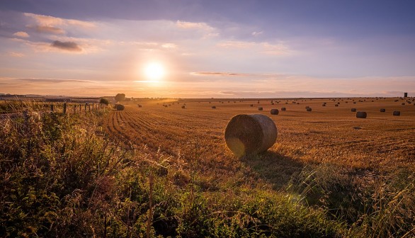 UK countryside