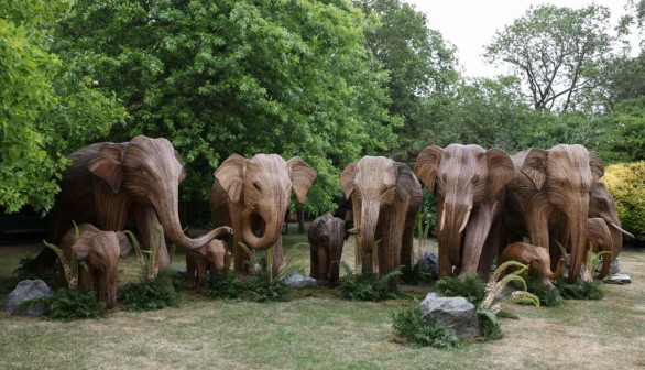 The Animal Ball At Lancaster House