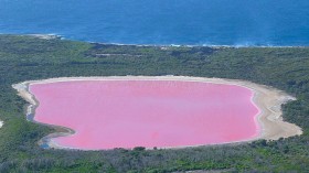 5 Things to Know About Australia's Pink Lake