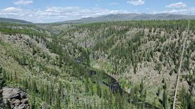 Yellowstone National Park