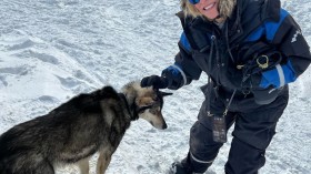 Par for the Norse: Franci Neely pets a local pup in Norway