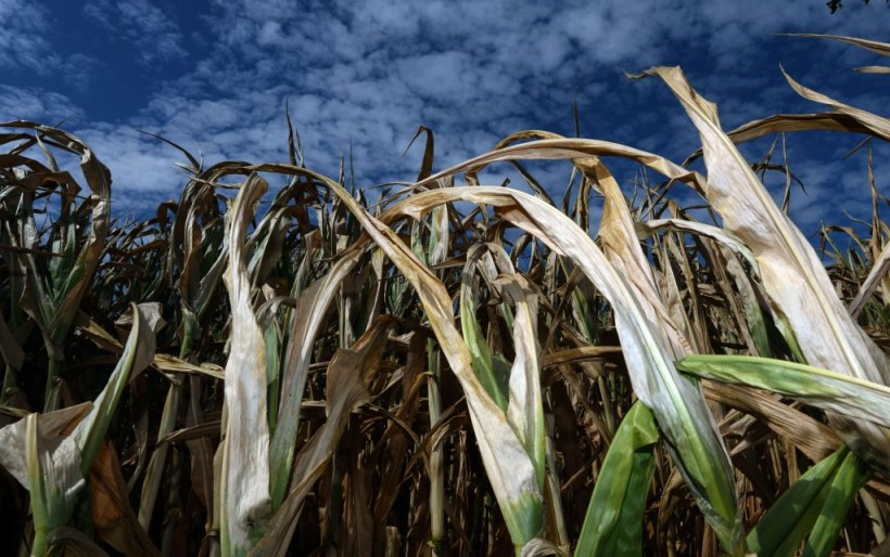 Worldwide Crop Failure Imminent as Climate Change Alters Jet Streams, Weather Patterns