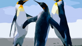 Penguin