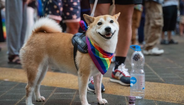 Pride Month Kicks Off In Cambodia