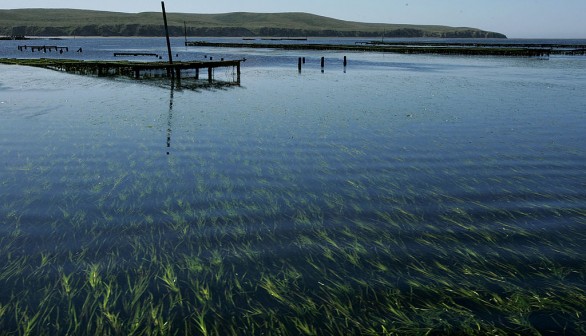 Oyster Fisherman Battles National Park Service Over Harvest Rights