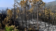 TUNISIA-WEATHER-CLIMATE-FIRE