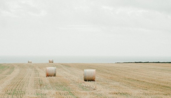 agriculture land