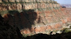 Grand Canyon N.P. Gets Stimulus Dollars To Re-Build Trails