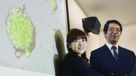 Yoshiki Sasai (R), deputy director of the Riken's Center for Developmental Biology, poses for a photo with Haruko Obokata