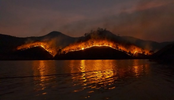 Algeria Wildfires