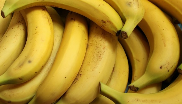 Original Banana