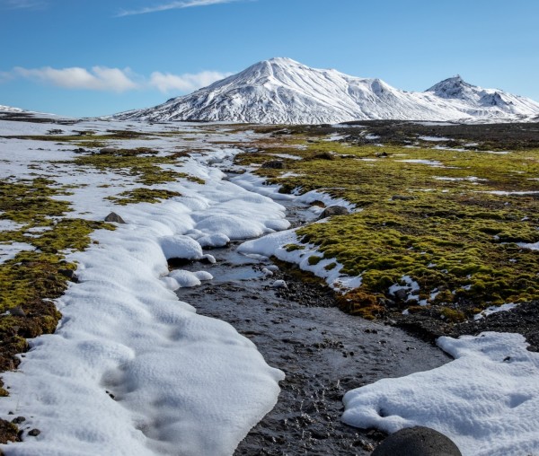 Frozen tundra”