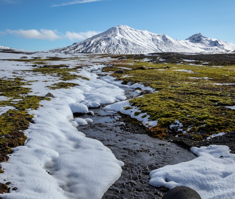 Tundra Biome: How a Frozen Habitat Supports Plant Life