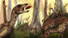 Laquintasaura venezuelae