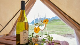 Escape to Nature: Unforgettable Glamping at Royal Gorge Cabins, CO