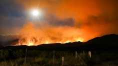 Hurricane Dora at Category 4 Fuels Wildfires in Maui, Locals Swim Away from Blazing Town