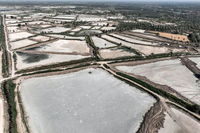 4-Year Extreme Drought Crisis in Iraq Destroys Fish Farms