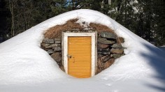 Root Cellars: Sustainable Storage Solution for Root Crops During Winter