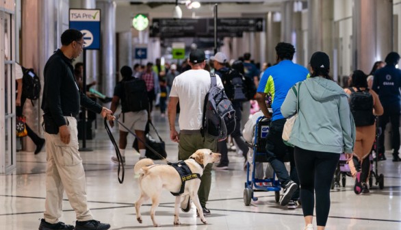 Dogs inside airport