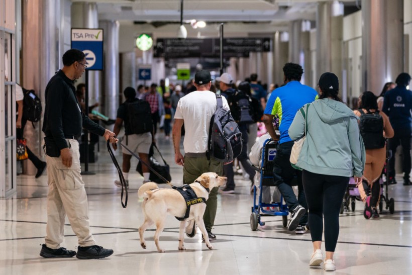 Dogs inside airport