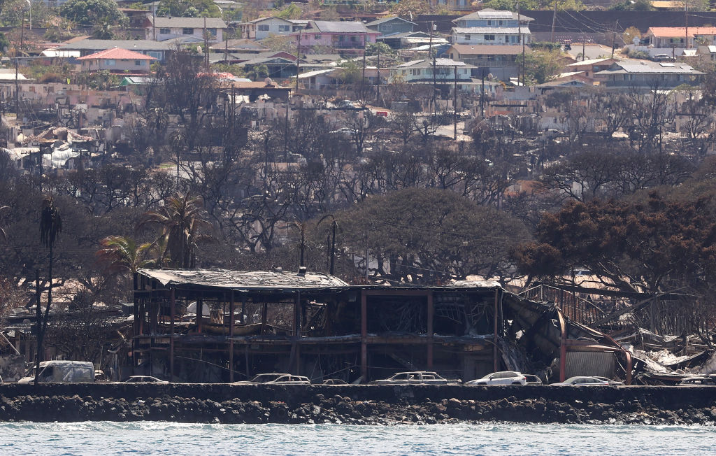 Only 32% Of Burned Area Searched By Cadaver Dogs In Maui;
Officials Urge Survivors To Submit DNA For Identification