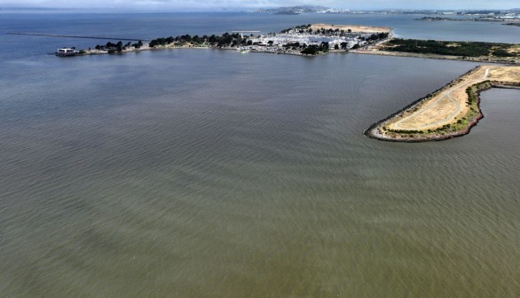 Red Tide Leaves Water Around East Bay Brown
