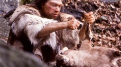 Climate Change, Habitat Expansion Allowed Interbreeding Between Neanderthals and Denisovans, DNA Study Reveals