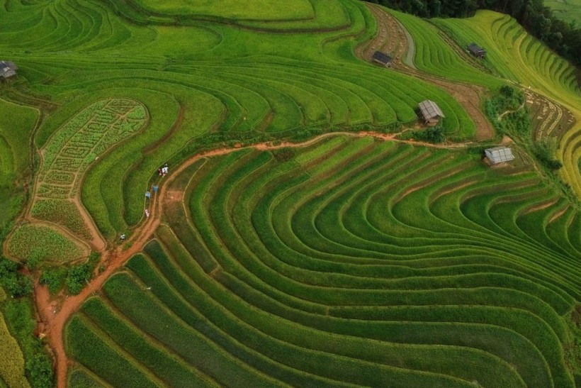 5 Picture-Perfect Rice Paddies: Cultivating Rice in Challenging Terrain