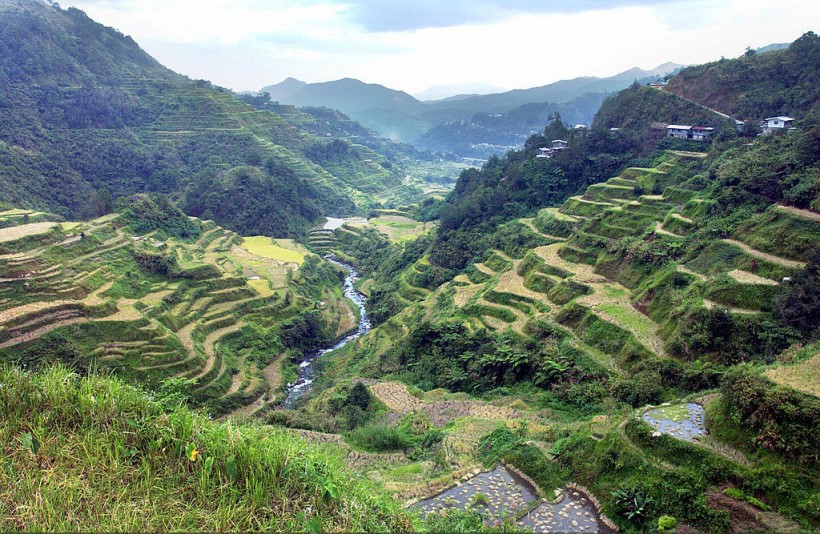 5 Picture-Perfect Rice Paddies: Cultivating Rice in Challenging Terrain
