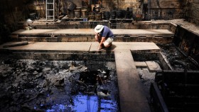 15 Canada Geese Land in La Brea Tar Pits, Severe Burns Kill 13