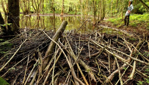 FRANCE-ENVIRONMENT-CONSERVATION