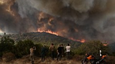 Day 5 of Largest Wildfire in Greece Raises Death Toll to 20 as Firefighters Tally 355 Forest Fires