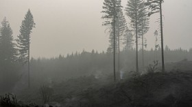 A stock photo of wildfires in Estacada, Oregon, in 2020. 