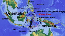 Wallace Line